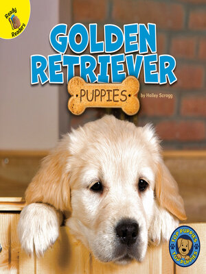 cover image of Golden Retriever Puppies